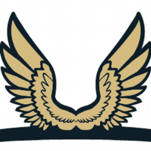 Logo - Austin Monitor. A pair of gold wings extended upward.